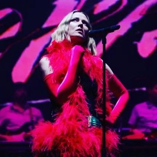 Roisin Murphy se hizo famosísima en los años noventa como la vocalista de Moloko y mantenía hasta ahora en el Reino Unido una carrera bastante estable y sensata. No era una gran superventas pero era muy respetada.

Roisin es madre. 

En una entrevista se atrevió a decir lo que