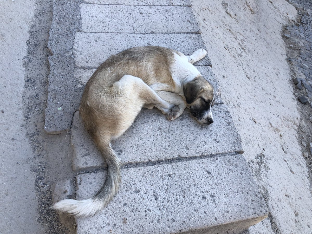 #esera Last day in Cappadocia. Thank you <a href="/ESERA_org/">ESERA</a> for providing an opportunity to meet friends. Met a Chinese ESERA2023 group in Cappadocia！🙌