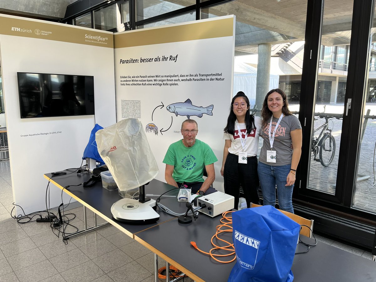 Giulia Lin tweet media