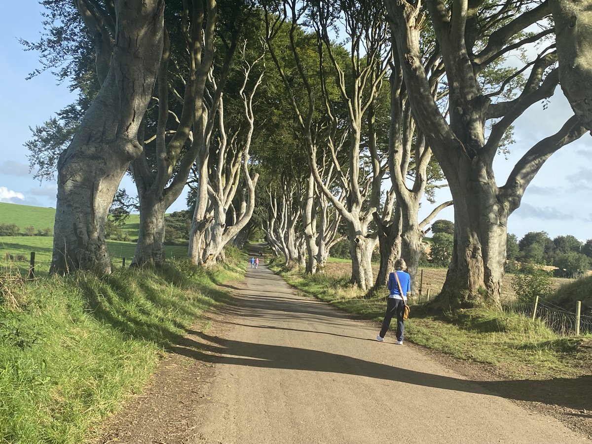Johngodwyer1's tweet image. Just back from a visit up North. Places such as the Silent Valley, Cave Hill and the #DarkHedges never disappoint. Make sure to visit sometime.