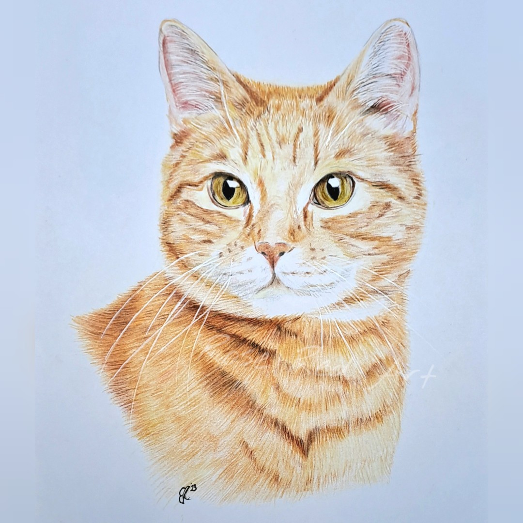 RoseRed_art's tweet photo. #GingerCatAppreciationDay https://t.co/zYcrnTER6q