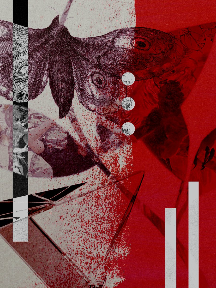 JP Wenner tweet media