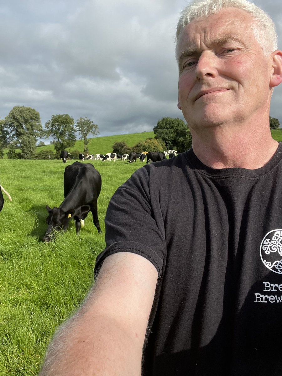 Electric Picnic. Monaghan style. 
Grass is good 😂😂( for cows) @madabtmonaghan <a href="/MonaghanTourism/">MonaghanTourism</a> <a href="/Louthchat/">#LouthChat</a> <a href="/EPfestival/">Electric Picnic</a> <a href="/KillannyGFC/">Killanny GFC</a> <a href="/AlesandCo/">Ales&Co</a> <a href="/DrinkIrish1/">Drink Irish</a> #DeadlineDay #grass