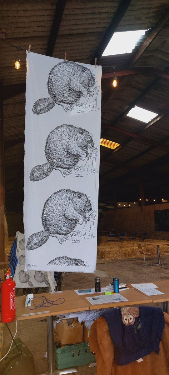 Fiona Mathews tweet media