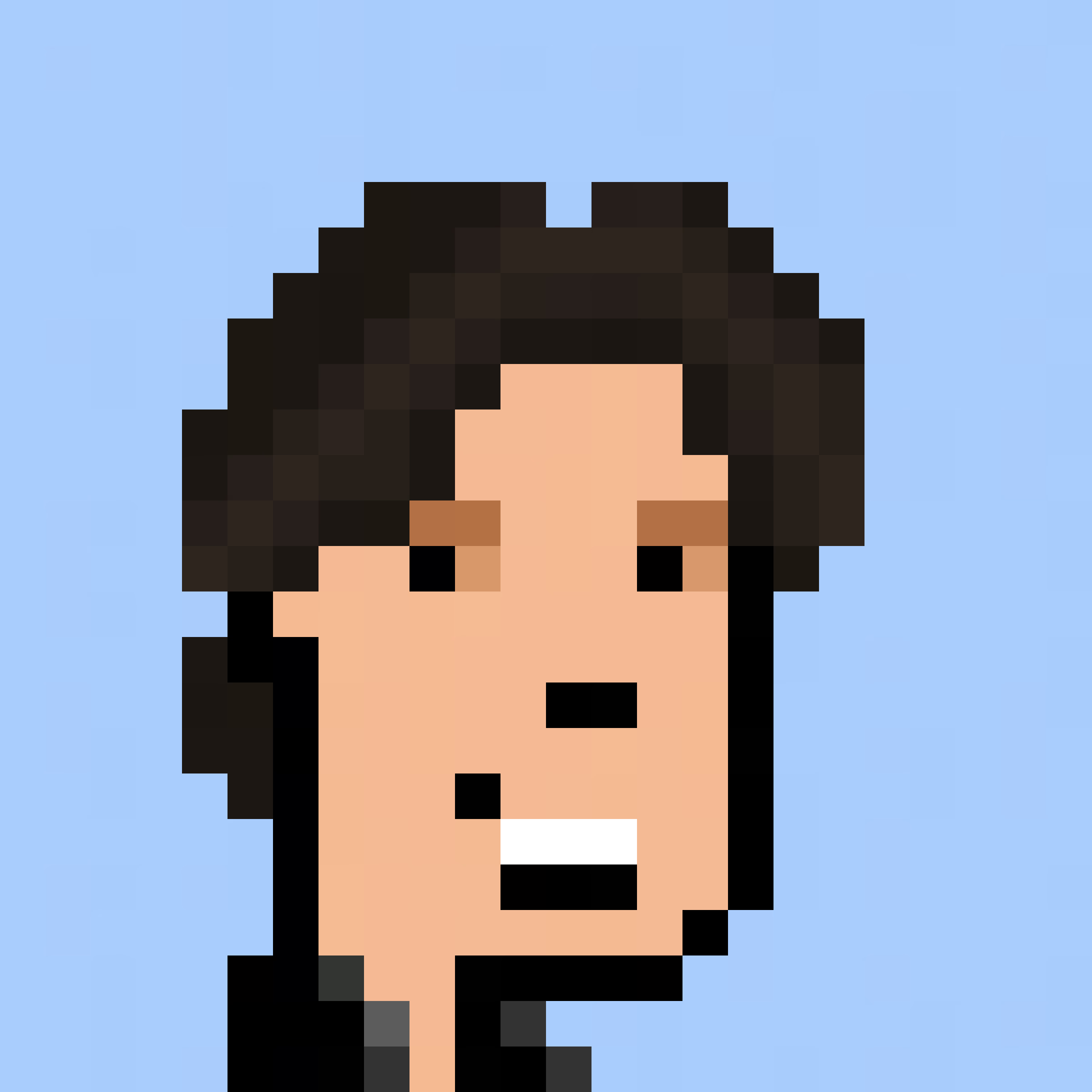 The Pixel Portraits - Collection