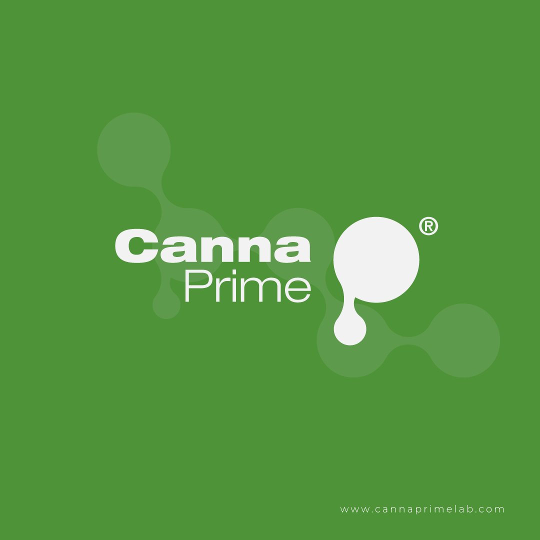 CannaPrime tweet media