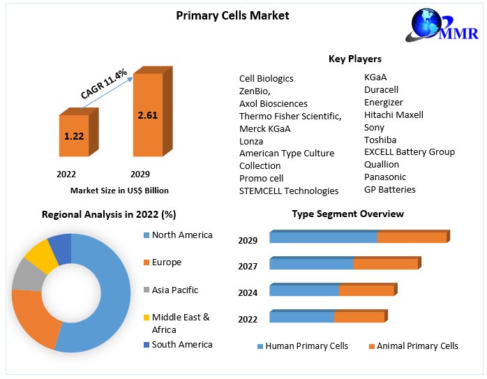 The actual stars of science are  primary cells, which have  revolutionized medication discovery and individualized medicine.  Keep an eye out for the newest  technologies and trends advancing this dynamic market!  
#PrimaryCells #Healthcare 

Get Details : rb.gy/gdcb5