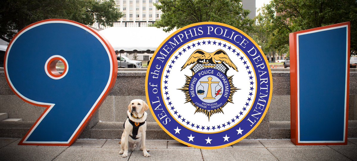 Glitch says Happy 901 Day, Memphis! Operation Underground Railroad Jordan Detection K9 - Electronic Detection K9 #901Day #901memphis