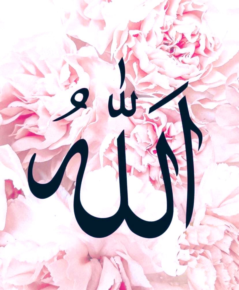 Natalia Bogacz tweet media