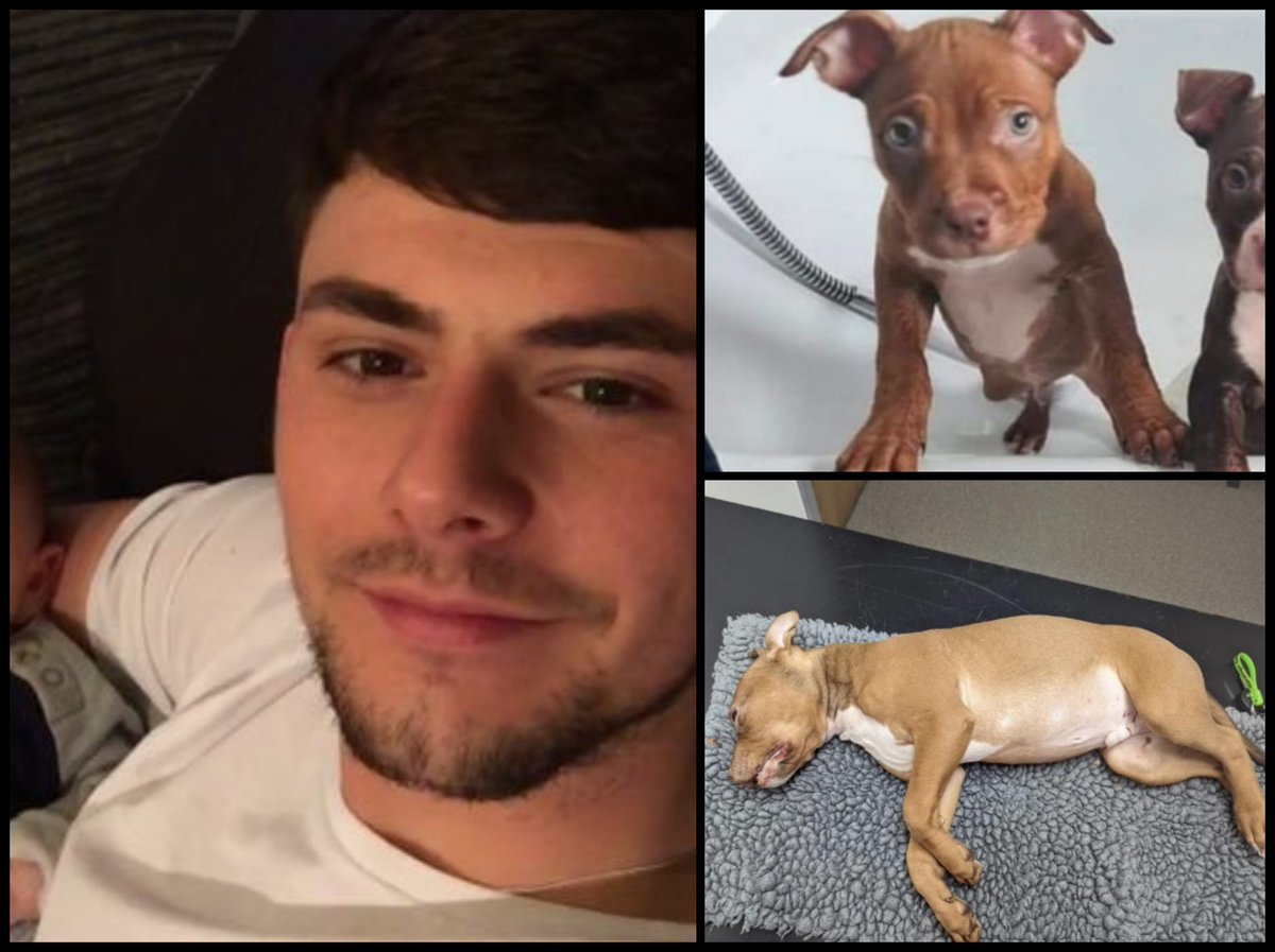 WARNING DISTRESSING, please retweet, DUDLEY PAYNE, #PRESTON #LANCASHIRE

Found guilty of abusing an 11 week old puppy called Rocko. The vet reported the worse postmortem findings he'd ever seen, cigarette burn caused eye to prolapse, hip fracture, ruptured liver, head trauma, all