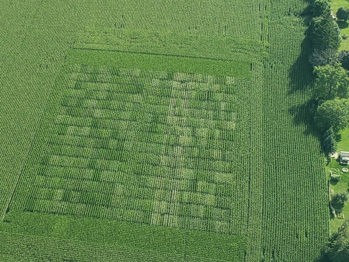 PappleAviation's tweet photo. A corn test plot that looks like a patchwork quilt - in a field near Bluevale (Wingham area).  We see quite a few of these from the air but you probably don't often notice them from the road. https://t.co/qE1Qq5ro9T