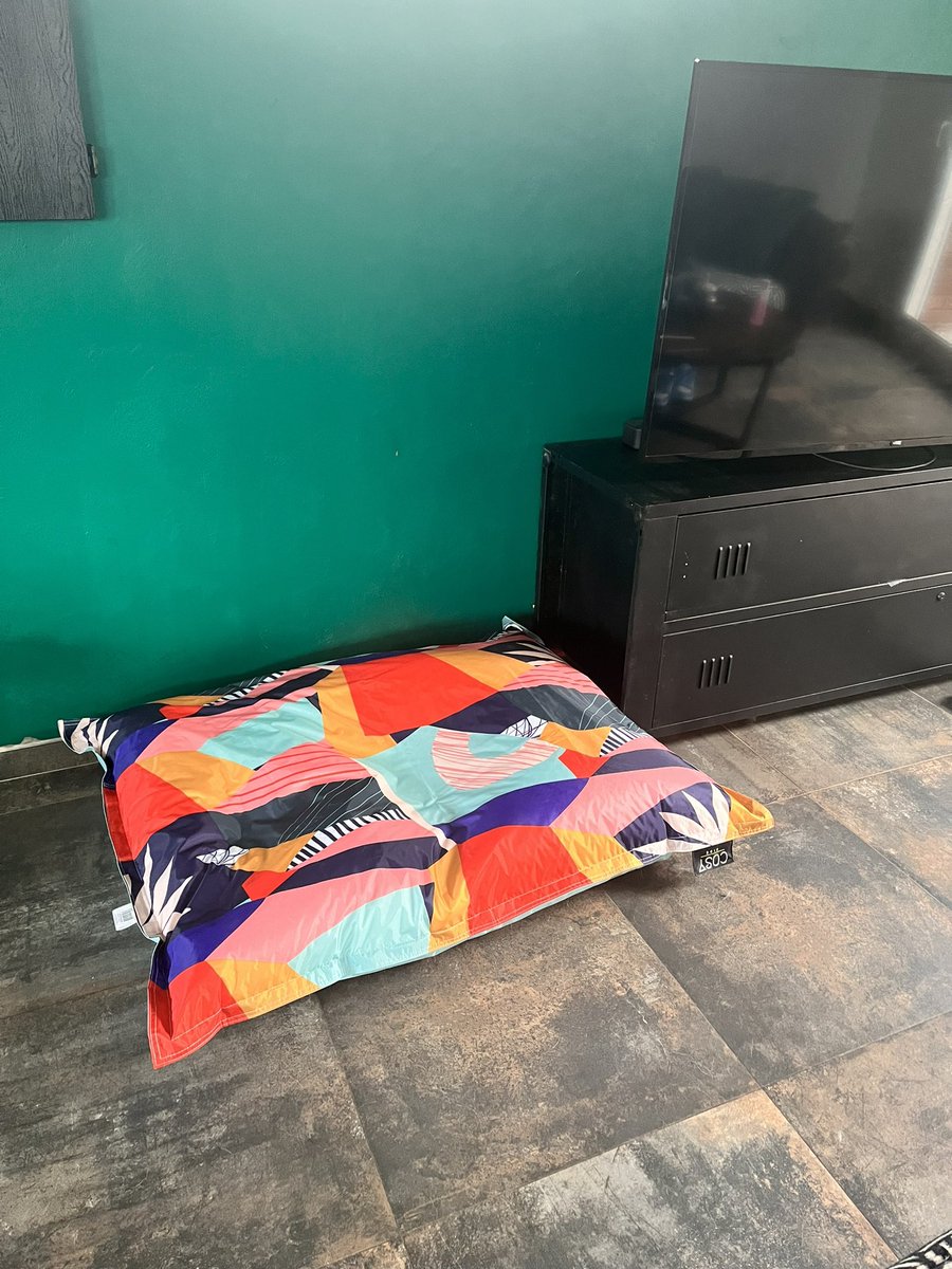 TabaryOne's tweet image. C’est pas un panier de Wouf ça? J’espère que mon chien va le kiffer celui ci 😌