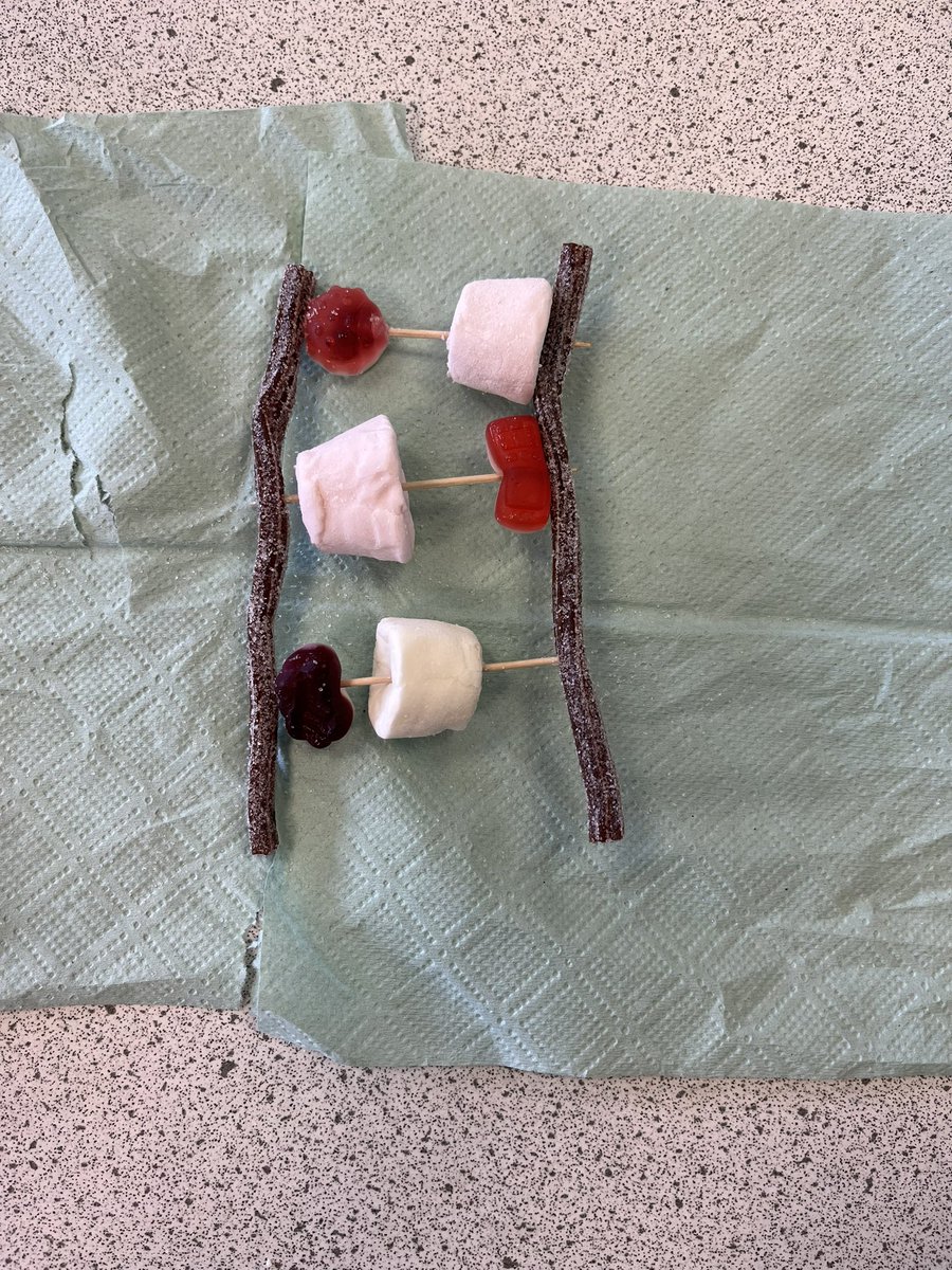 BA_Science1's tweet photo. N5 Biologists making some edible DNA models 🧬🍬 https://t.co/2qJEdj2f5r