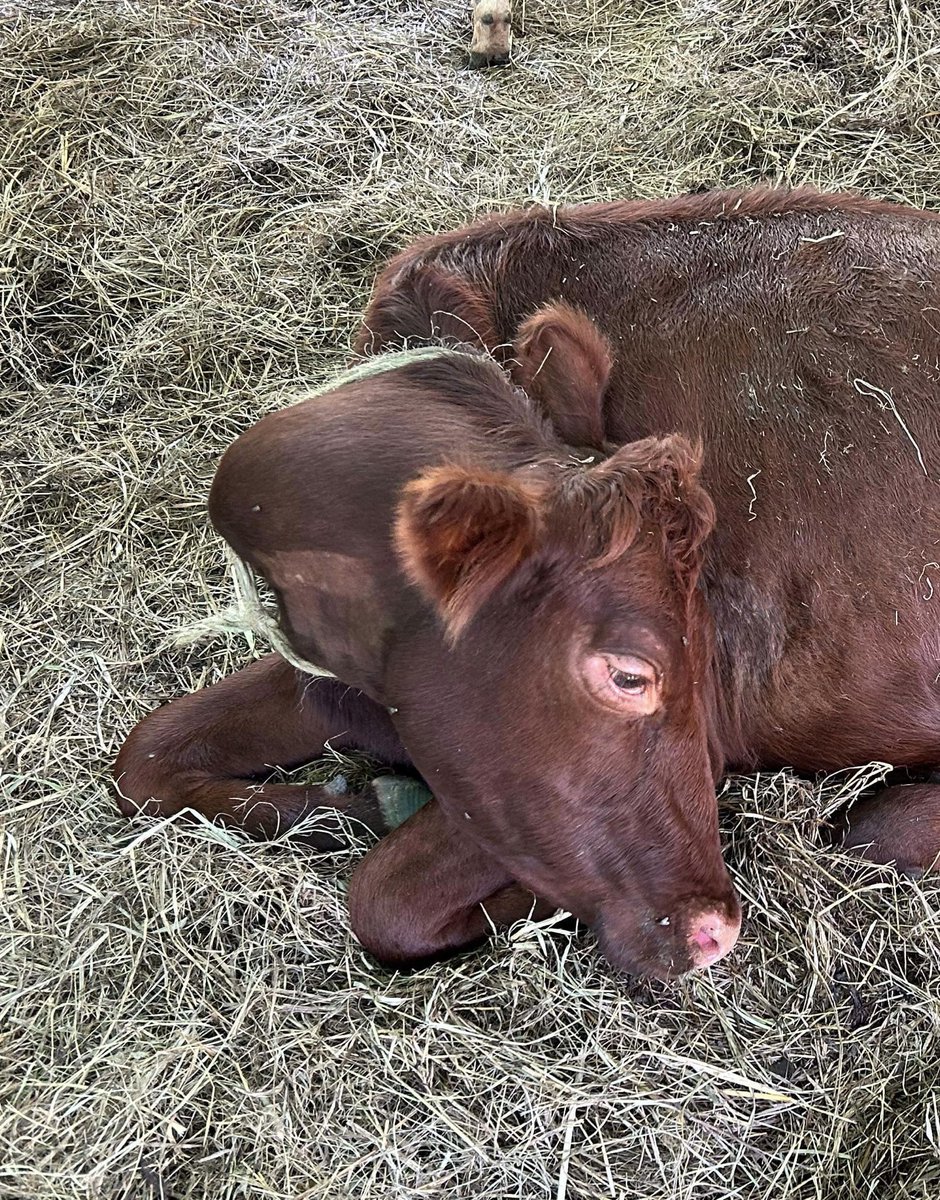 NYFarmer tweet media
