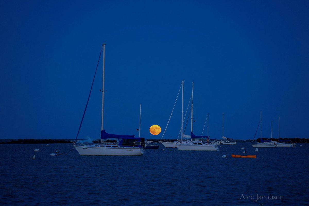 AWJacobson's tweet photo. Jumped on the blue moon bandwagon Wednesday! https://t.co/r9UqdlKk51