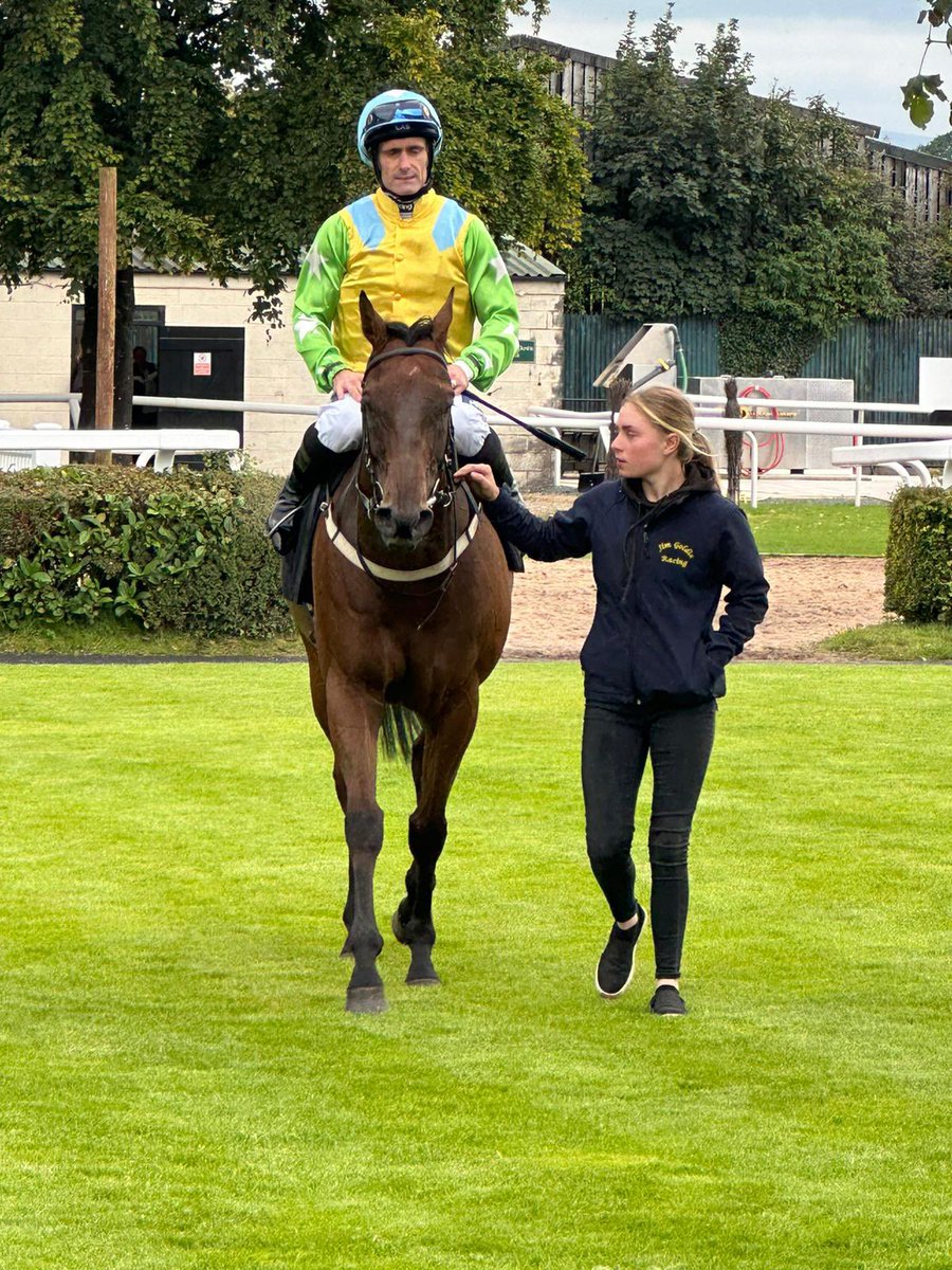 We had another great day @CarlisleRaces with American Affair & Jordan Electrics giving us a nice double under 2 excellent rides from @PMulrennan !