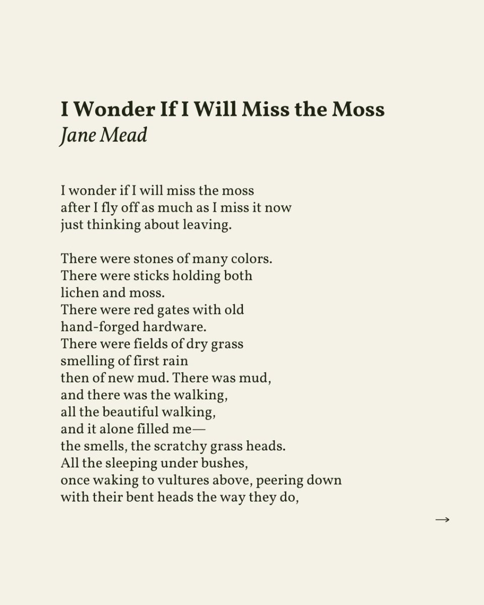 It's O.K. I think / I did what I could. ” — Jane Mead, from I Wonder If I  Will Miss the Moss, image size:960x1200
