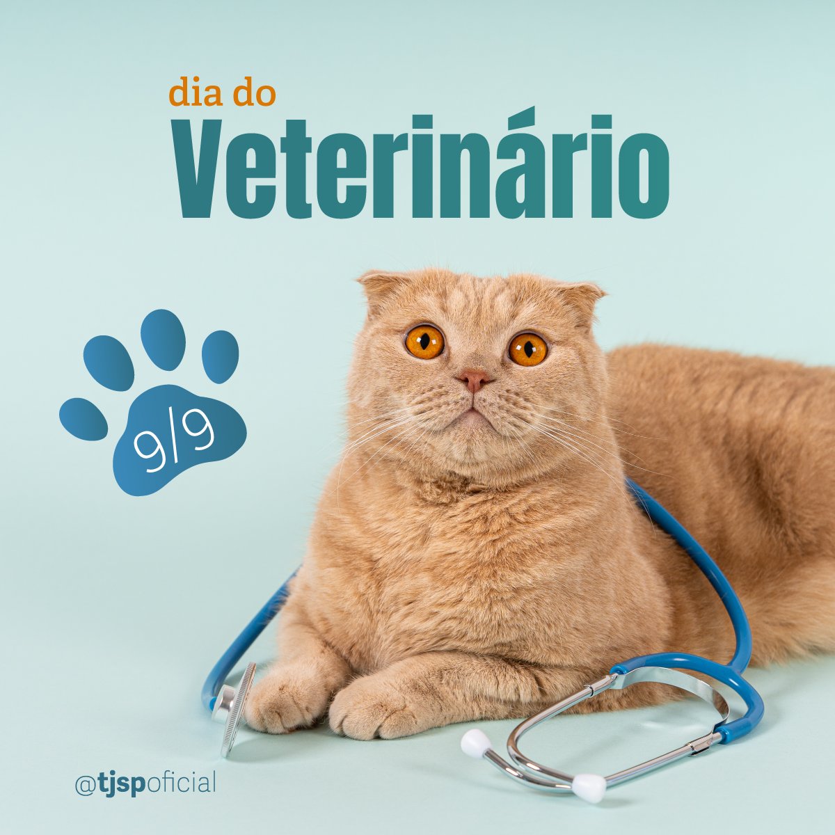 TJSPoficial's tweet photo. Homenagem do TJSP aos veterinários, profissionais responsáveis pela saúde dos animais. Marque nos comentários seu amigo/amiga @veterinário! #9deSetembro #DiadoVeterinário #HomenagemTJSP #SomosTJSP #AJustiçaPróximadoCidadão #RedesSociais #SocialMedia #MídiasSociais https://t.co/ex4hO9rUGy