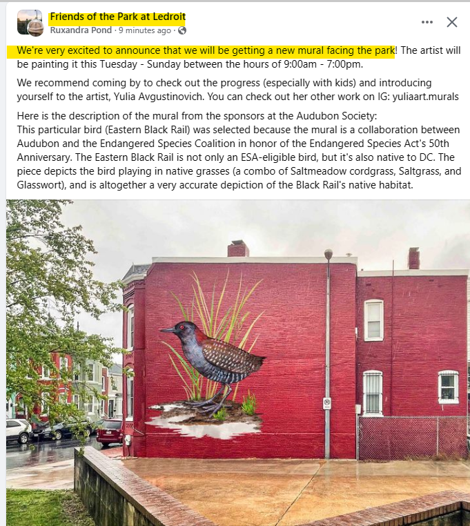 ScottRobertsDC's tweet photo. see this good news

a new mural is coming to the @ParkAtLedroit 🎨

https://t.co/9cMouUSfdM
@LeDroitParkDC #BloomingdaleDC 
🐦‍⬛ https://t.co/Kee5VblY16