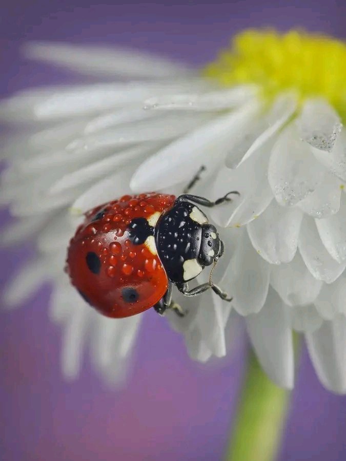 iLeaf_SA's tweet photo. Happy Spring day https://t.co/DtddtrbeTw