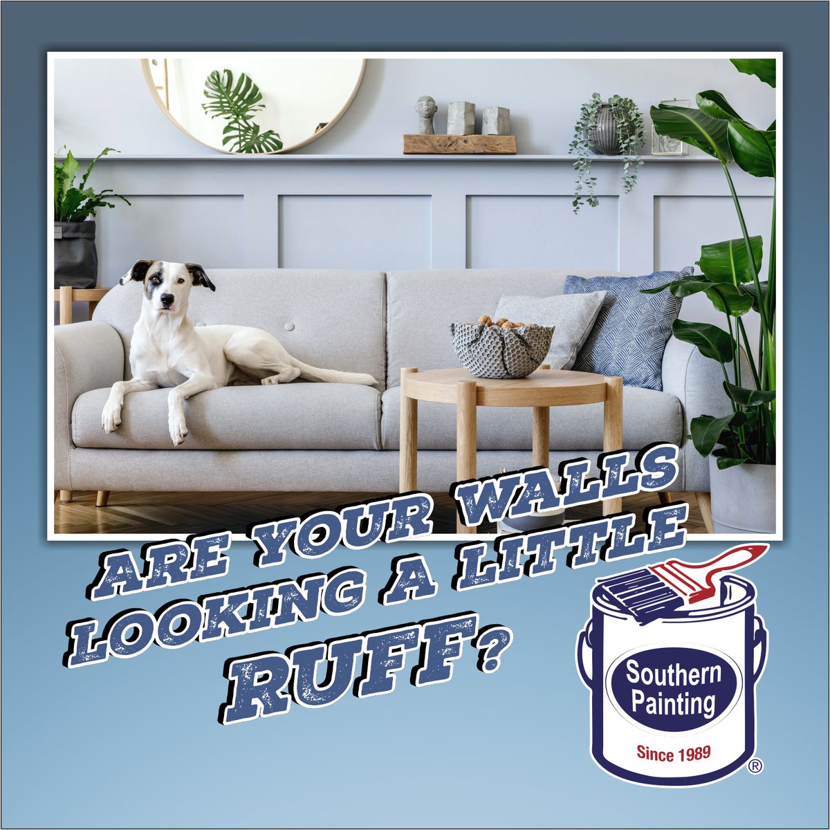 SoPat_Dallas's tweet photo. 🐾Just a few short weeks until the dog days of summer are behind us! If your walls are looking a little ruff, go fetch your phone and call us now!🐾

#housepainting #painting #interiorpainting #exteriorpainting #residentialpainting #painter #paintingcontractor #housepainter https://t.co/b7XXEEErJq