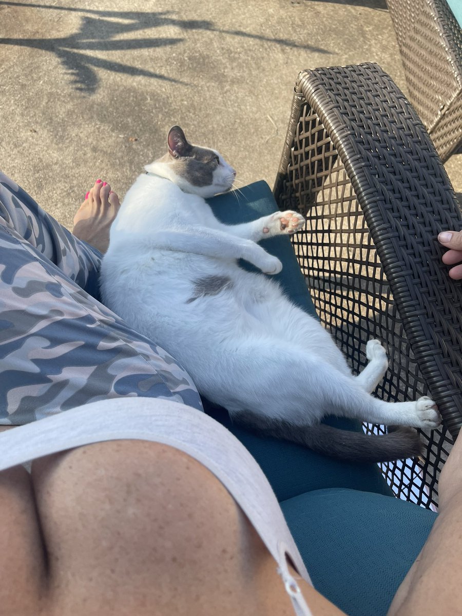 BlaizeMatrix1's tweet photo. You like my kitty? https://t.co/EnRUiYDy2W