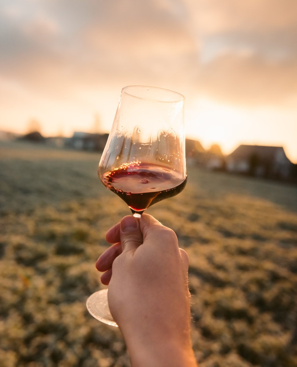 getknowbie's tweet image. September is here 🍂 bringing a harvest of new flavors and experiences. As the leaves change, explore the evolving beer, wine and spirits palette with Knowbie's curated courses! Download it at linkin.bio/getknowbie 🔗

#knowbie #winelover #autumnvibes #learnwine #september