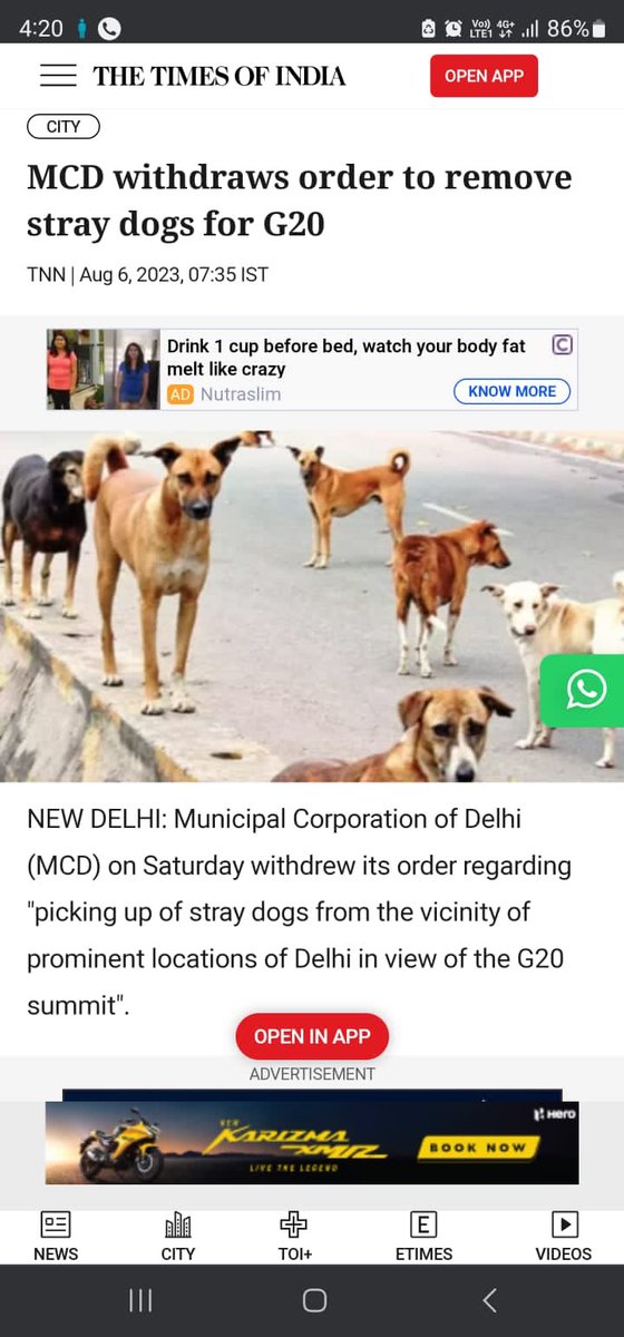 NeelabGupta's tweet image. Dogs being picked up from Delhi airport and nearby areas and sent to shelters in clear violation of the circular issued on August 6. Why is this happening? @ArvindKejriwal @OberoiShelly? Please do something @AmbikaShukla15 @pankhuripathak @Manekagandhibjp #dogsofdelhi