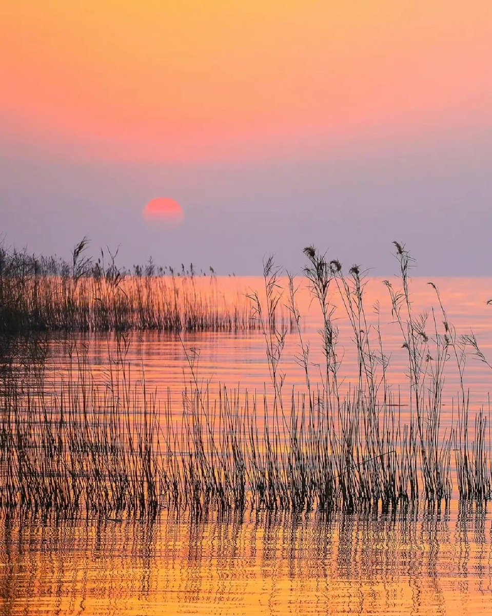 heyhat2011's tweet photo. I can miss the rising sun, I can miss the sunset, I can miss, as long as you I can not miss, you are my life without regret selection!☀️☀️☀️☀️ #sunshine #sunset #lake #beauty #straw https://t.co/YALDCuEdel