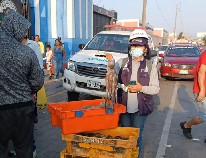 ndancash's tweet photo. La Fiscalía Especializada en Materia Ambiental del Santa dispuso la incautación de 106.74 kilos del recurso hidrobiológico pulpo, hallado en el mercado La Sirena e Chimbote, tras identificar que el peso de la especie no era apto para su comercialización. https://t.co/R3gd1sacD9