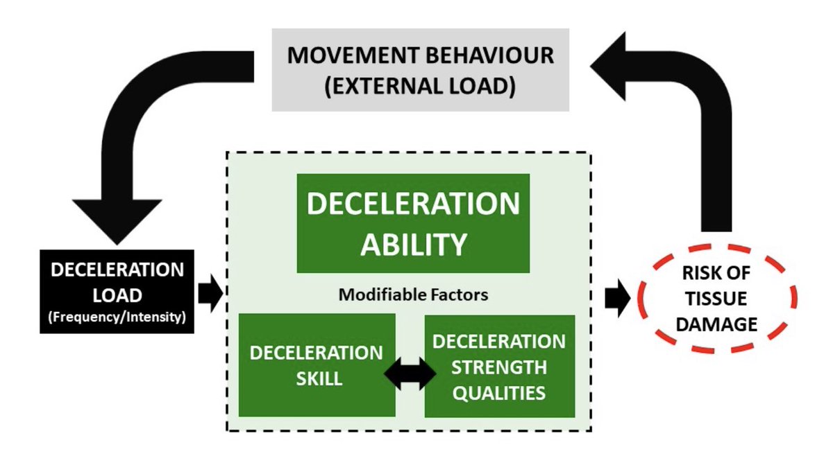 In multi-directional speed sports:

📌 Intense decelerations are highly frequent 

📌 Impose high mechanical forces and loading rates 

So, how do we boost deceleration capacities and tolerance to repeated intense braking activities? 🤔

<a href="/BrakingPerform/">Human Braking Performance</a> 

humanbrakingperformance.com/importance-of-…