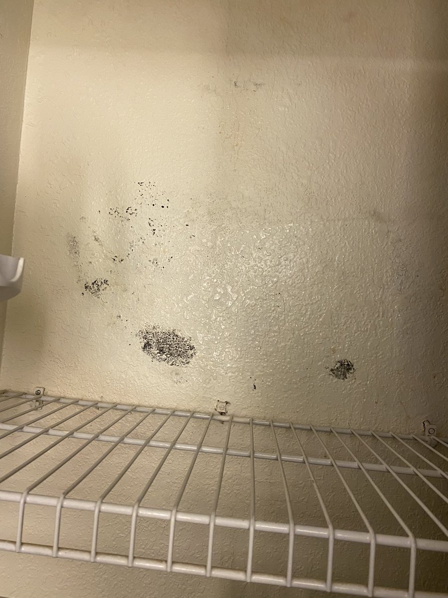 Not a good start to the vacation. Checked in to the residence inn in lake buena vista and found mold behind the spare sheets in the closet. The bag itself was wet too. @ResidenceInn @Marriott