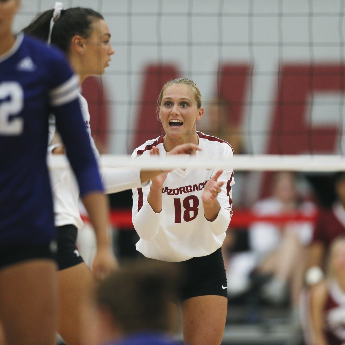 "If everybody in Fort Smith is like Hannah Hogue, then that's one tough town, and they work hard." - Jason Watson

Listen to the entire episode: wholehogsports.com/news/2023/sep/… <a href="/SHSVballGoMavs/">FSM Southside Vball</a> <a href="/hannahhogue6/">Hannah Hogue</a>
