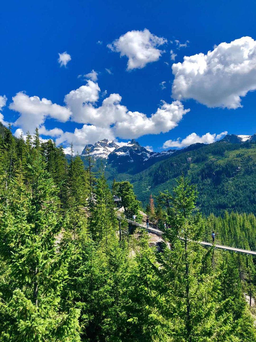 ewillette2003's tweet photo. "My wish is to stay always like this, living quietly in a corner of nature."🏔 https://t.co/ZbDqsBCABd