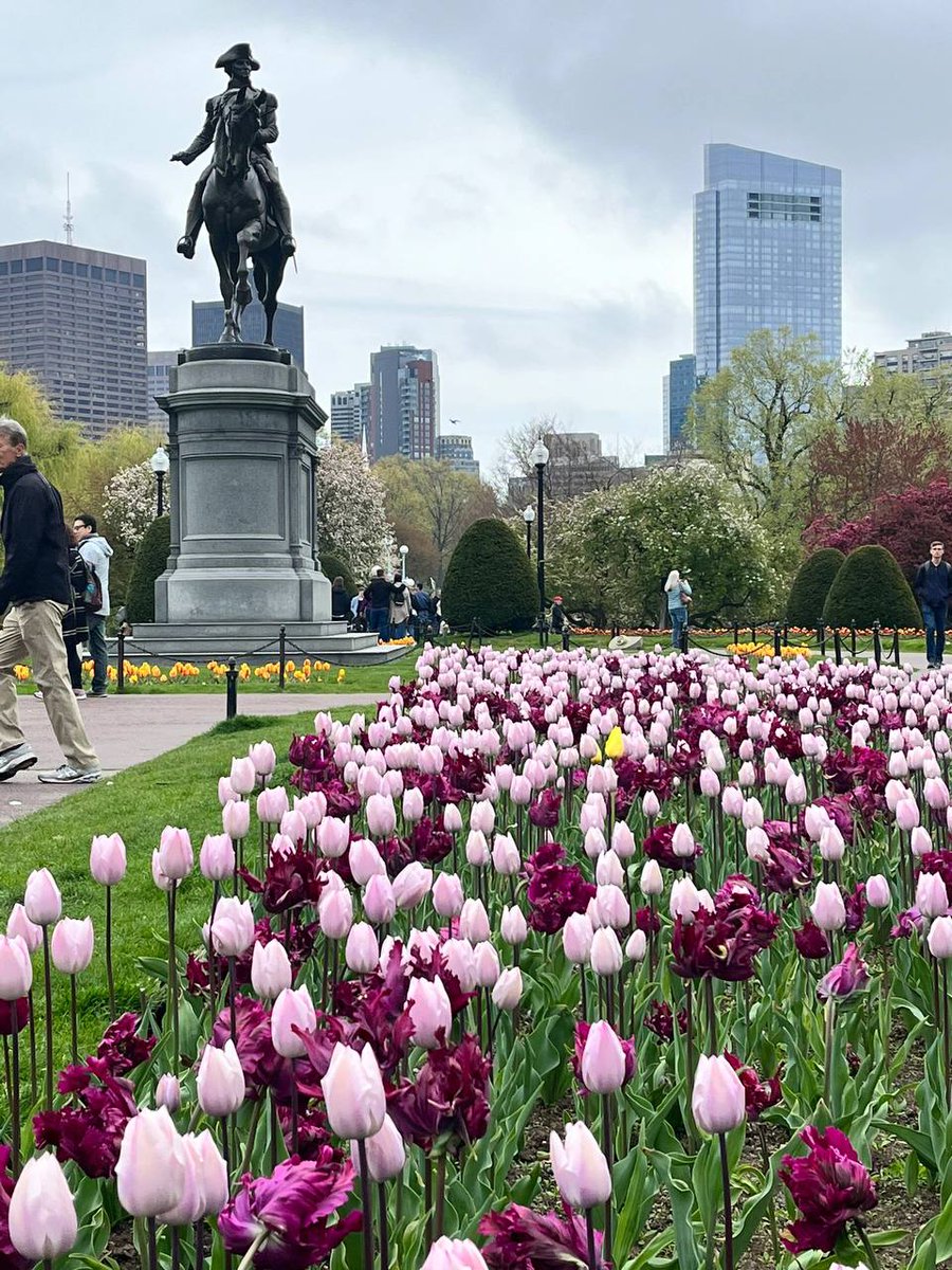 usmlyyus's tweet photo. Like looking forward to spring, looking forward to the flowers, caught up in the good, looking forward to all the good news in the world, and looking forward to you at the same time. #scenery #newyork #green #outdoors☀️☀️📸🌺🌺🌷🌷 https://t.co/OmCqbTPDkg