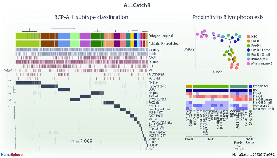 LBastian_MD's tweet photo. Very happy to share the publication of #ALLCatchR – our gene expression-based subtype classifier for acute lymphoblastic leukemia @Hemasphere_EHA! Great collaboration with @leukaemielabor, @JanTrk, Anke K. Bergmann and our colleagues
@UKSH_KI_HL! Quick overview - 🧵 https://t.co/3ILqi1qK6g
