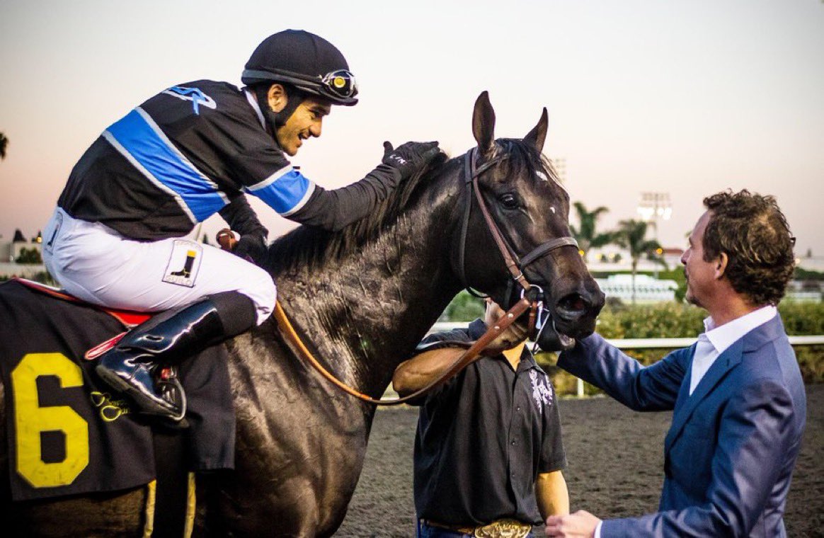 SmileyYYC's tweet photo. @jimrome Such a beloved animal #SharedBelief https://t.co/OdxrZj7se4