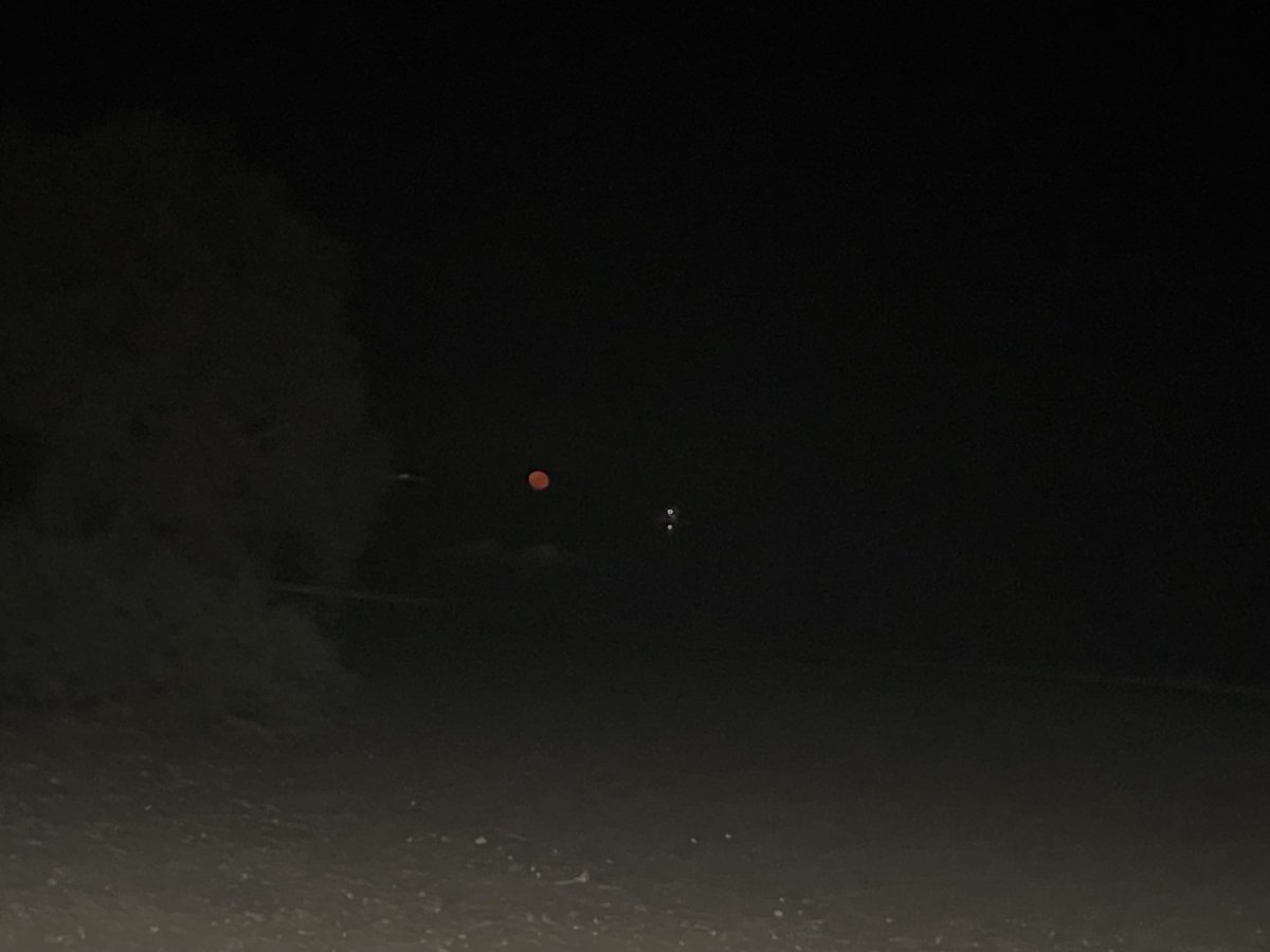 Laura Smart tweet media