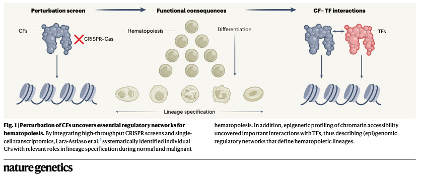 Haas Lab tweet media