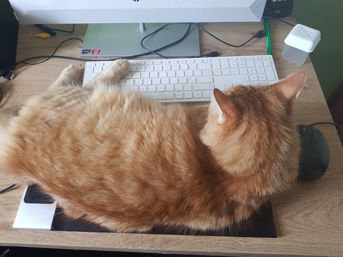rtpiper's tweet image. I know it's #GingerCatAppreciationDay, but that doesn't mean you can sit on my graphic tablet! I'm trying to work!