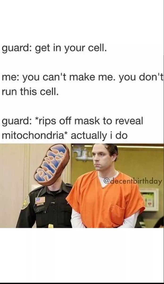 TigerPowerHouse's tweet photo. #securityguardpowerhouse
#hedpowerhouseyocells
#MHSOrganelleVote2023
#werunyocells https://t.co/Eto8DcRx5H
