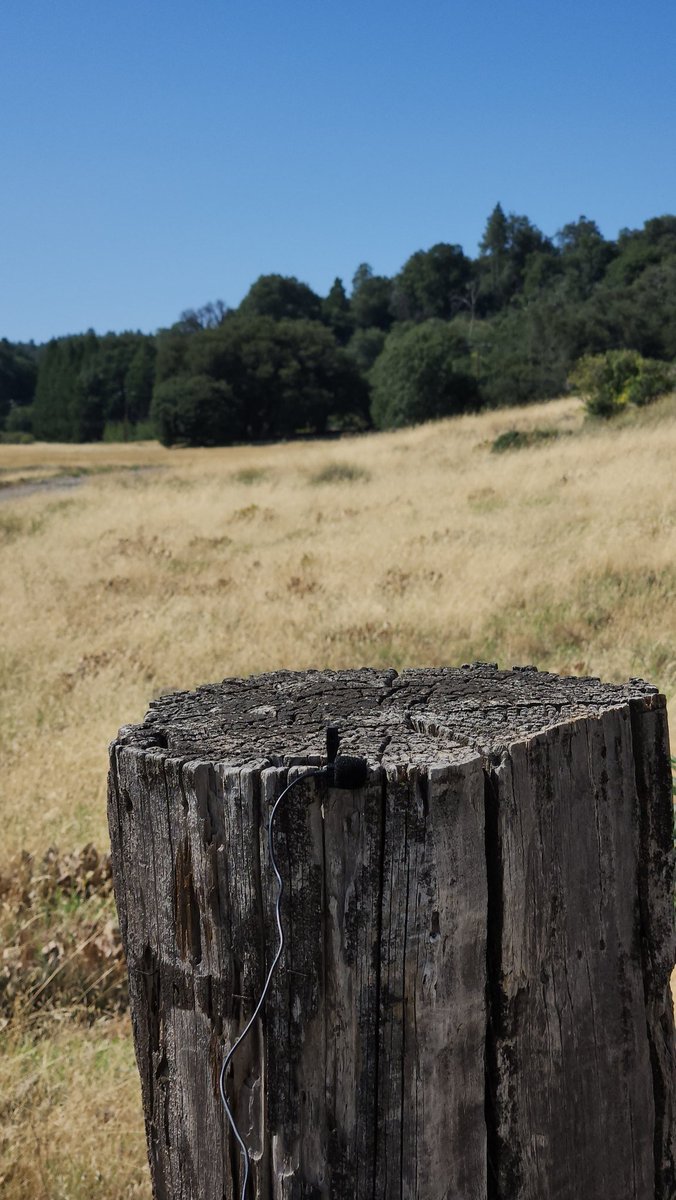 Aacreation911's tweet photo. 🎤 Stand in nature https://t.co/yFzFIhqTFz