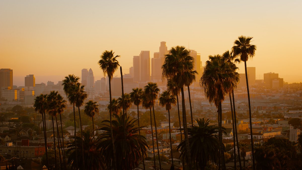 ButDansLaVie's tweet photo. S'évader à Los Angeles 🇺🇸 https://t.co/ajDi5tTlyh