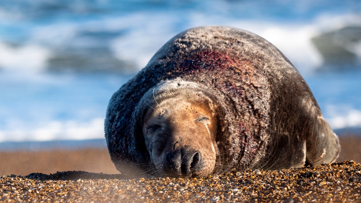 That end of summer feeling... 😴

Check out #SummerOfPlay with @StarlingBank to make the most of the last few days of summer: brnw.ch/21wCcXb

Photos: Jane Lancaster, Catriona Darroch, Nick Upton, Rob Coleman