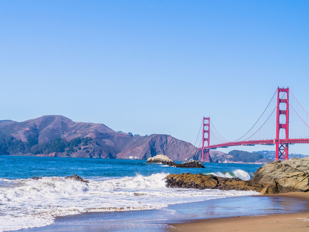 CLS Alumni tweet media