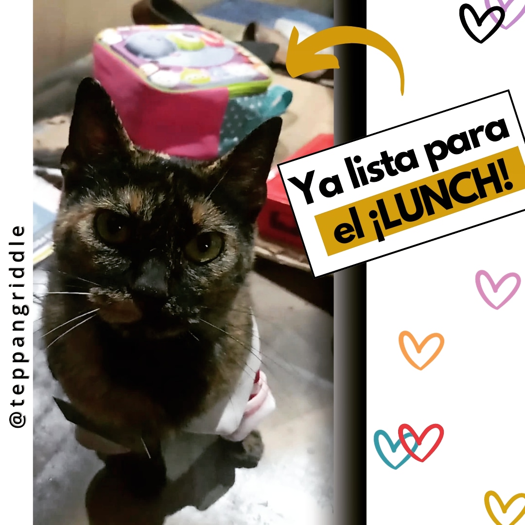 teppangriddle's tweet photo. 😸¡𝐑𝐄𝐏𝐎𝐑𝐓𝐄𝐍𝐒𝐄 𝐓𝐎𝐃𝐎𝐒 𝐋𝐎𝐒 𝐌𝐈𝐂𝐇𝐈𝐒 𝐓𝐑𝐀𝐁𝐀𝐉𝐀𝐃𝐎𝐑𝐄𝐒! #FelizViernesATodos
#cats #catlover #catstagram #cute #cutecat #viral #work #working #worklife #lunch #lunchbox #lunchtime #teppangriddle https://t.co/EXQSV99U7P