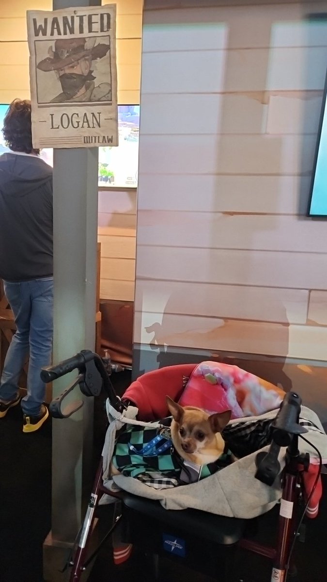 Arydanika's tweet photo. We're gonna sniff out Logan! Better not show his handsome face at PAX WEST. @PMStudiosUSA @PatheaGames #paxwest2023 https://t.co/xzEmnqdY93