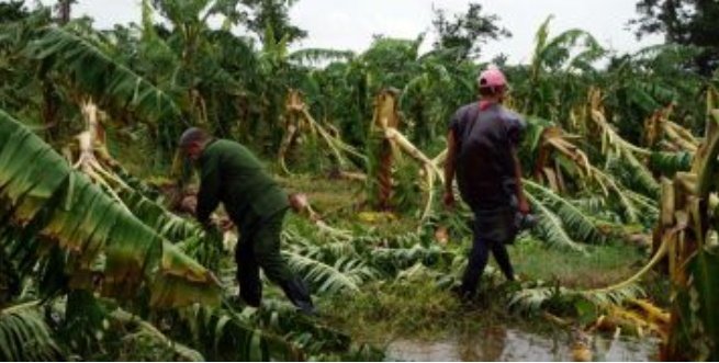Pinar del Río se recupera 
"Practicamos nuestra SOLIDARIDAD con hechos..." #FidelPorSiempre 
🇨🇺#FuerzaPinar, desde #Cabaiguán nuestro apoyo