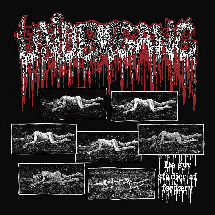 MusipediaOMetal's tweet photo. Last one for #newmusicfriday
@paulscoblestup has #Undergang as Ben Price has #SARRAM @markyoung27 has @WeAreRepentance as @fuzzdoomrip takes #LordOfShadows
https://t.co/X22Po2zrl9
@DarkDescentRec @mesacounojo @ClawHammerPR @subsoundrecords @PurpleSagePR @nobledemonrec https://t.co/pjfcY1cNWD