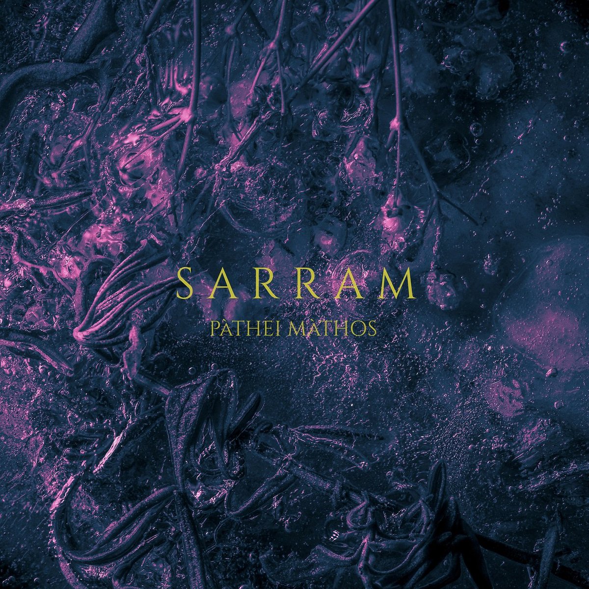 MusipediaOMetal's tweet photo. Last one for #newmusicfriday
@paulscoblestup has #Undergang as Ben Price has #SARRAM @markyoung27 has @WeAreRepentance as @fuzzdoomrip takes #LordOfShadows
https://t.co/X22Po2zrl9
@DarkDescentRec @mesacounojo @ClawHammerPR @subsoundrecords @PurpleSagePR @nobledemonrec https://t.co/pjfcY1cNWD